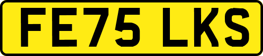 FE75LKS