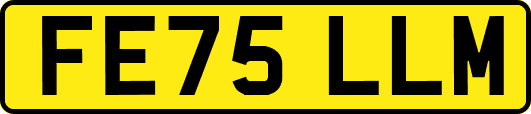 FE75LLM