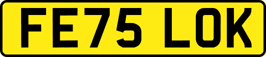 FE75LOK