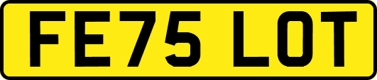 FE75LOT