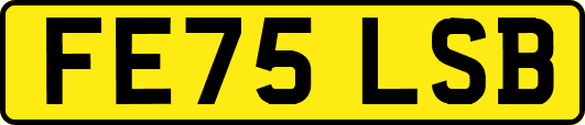 FE75LSB