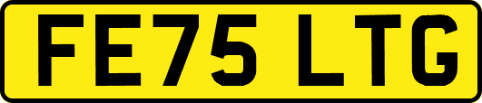 FE75LTG