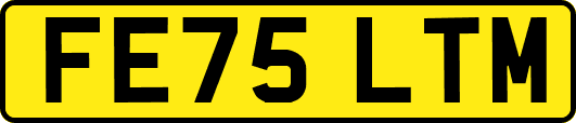 FE75LTM