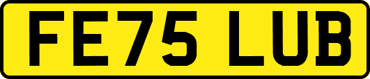 FE75LUB