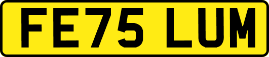 FE75LUM