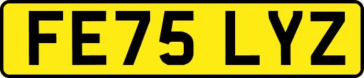 FE75LYZ