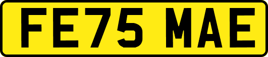 FE75MAE