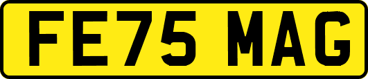 FE75MAG