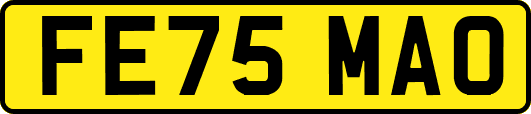 FE75MAO
