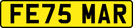 FE75MAR