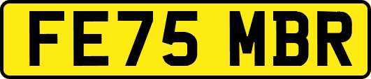FE75MBR