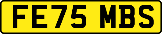 FE75MBS