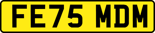 FE75MDM