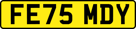 FE75MDY