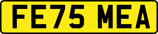 FE75MEA