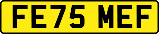 FE75MEF