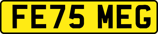 FE75MEG