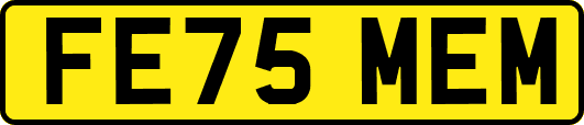 FE75MEM