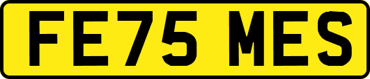 FE75MES