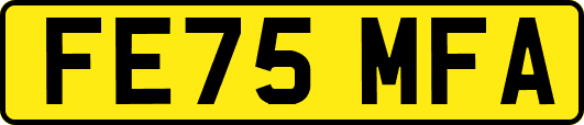 FE75MFA