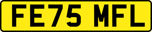 FE75MFL