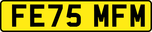 FE75MFM