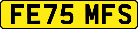 FE75MFS