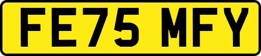 FE75MFY