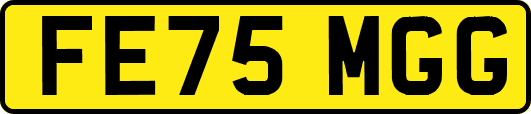 FE75MGG