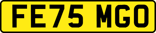 FE75MGO