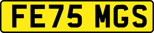FE75MGS