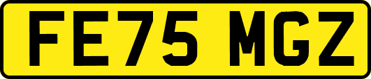 FE75MGZ