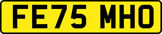 FE75MHO