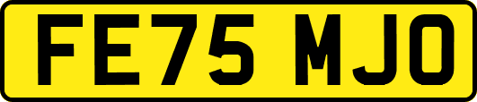FE75MJO