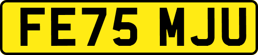 FE75MJU