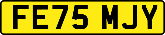 FE75MJY