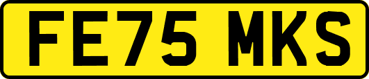 FE75MKS