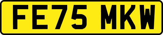 FE75MKW