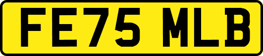 FE75MLB