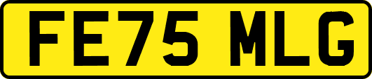 FE75MLG