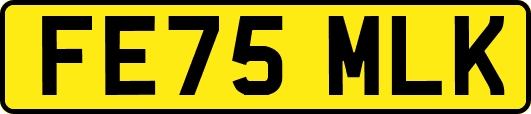 FE75MLK