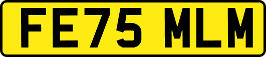 FE75MLM