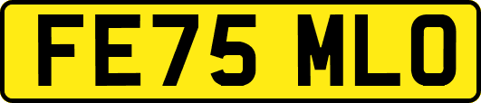 FE75MLO