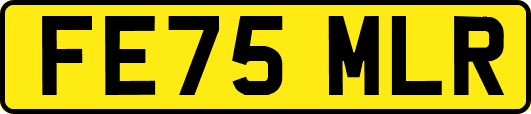 FE75MLR