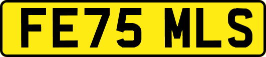 FE75MLS