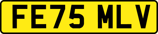 FE75MLV