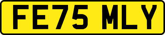 FE75MLY