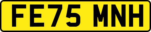 FE75MNH