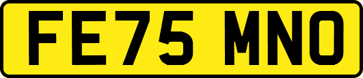 FE75MNO