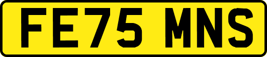 FE75MNS